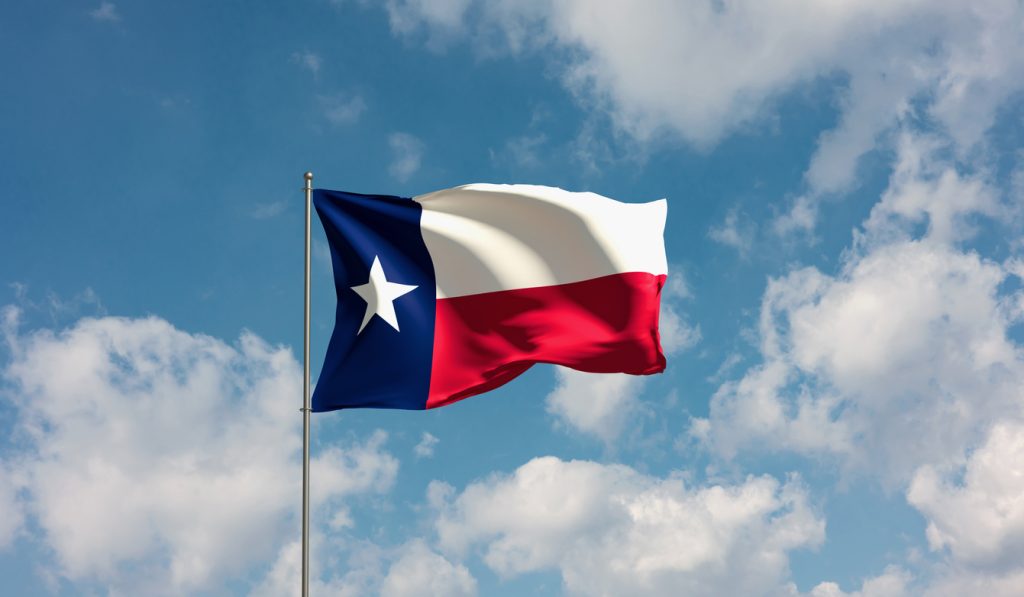 A Texas flag in a bright, sunny sky. The Valley List is a website design company in Seguin, Texas.